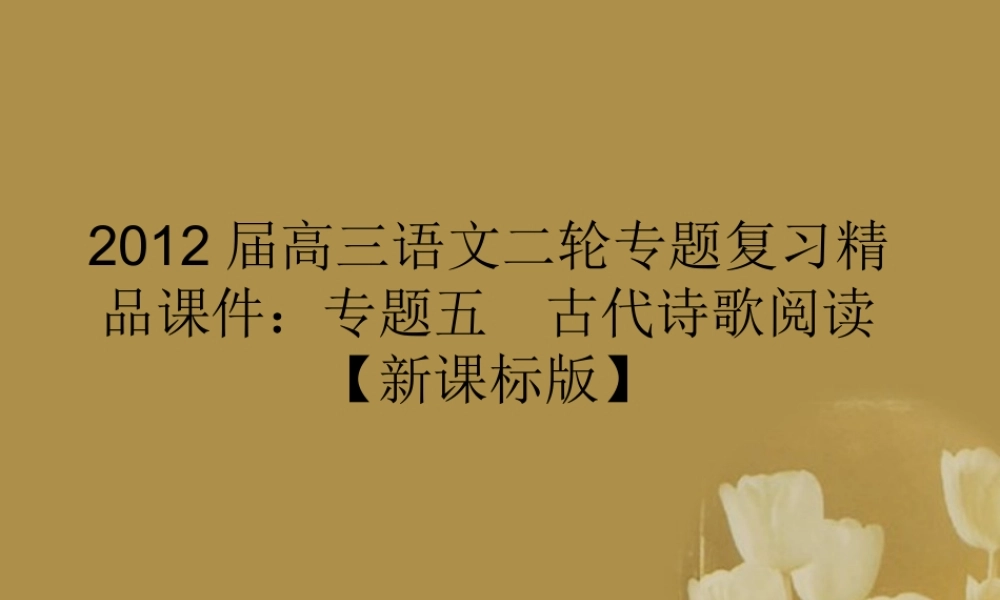 高三语文二轮专题复习 专题五 古代诗歌阅读精品课件 新课标版 课件