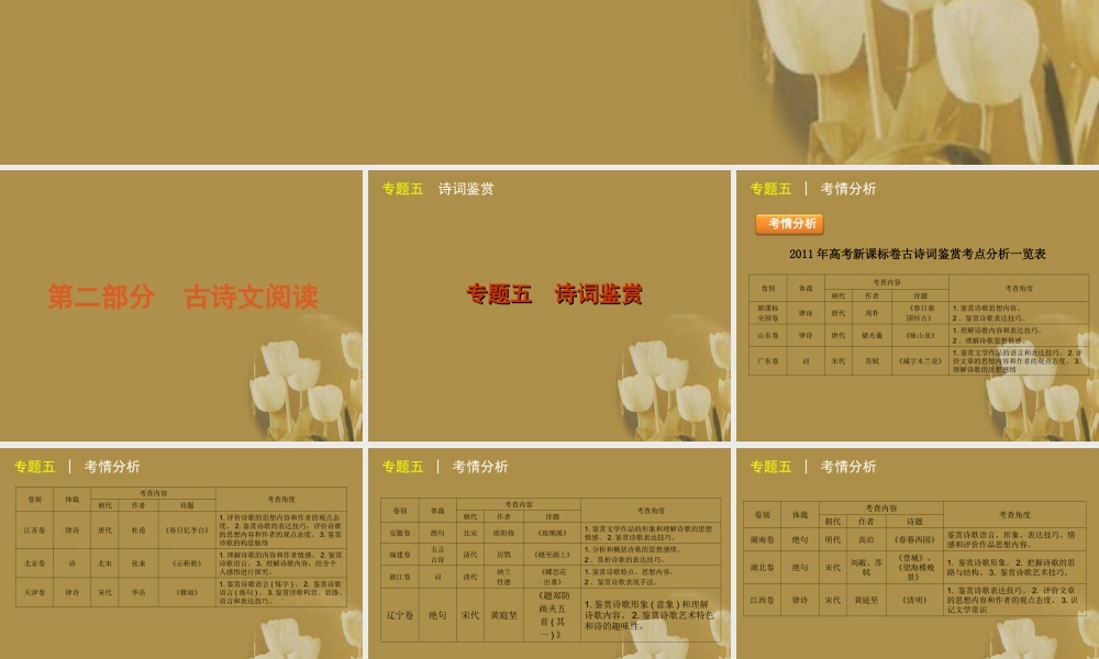 高三语文二轮专题复习 专题五 古代诗歌阅读精品课件 新课标版 课件
