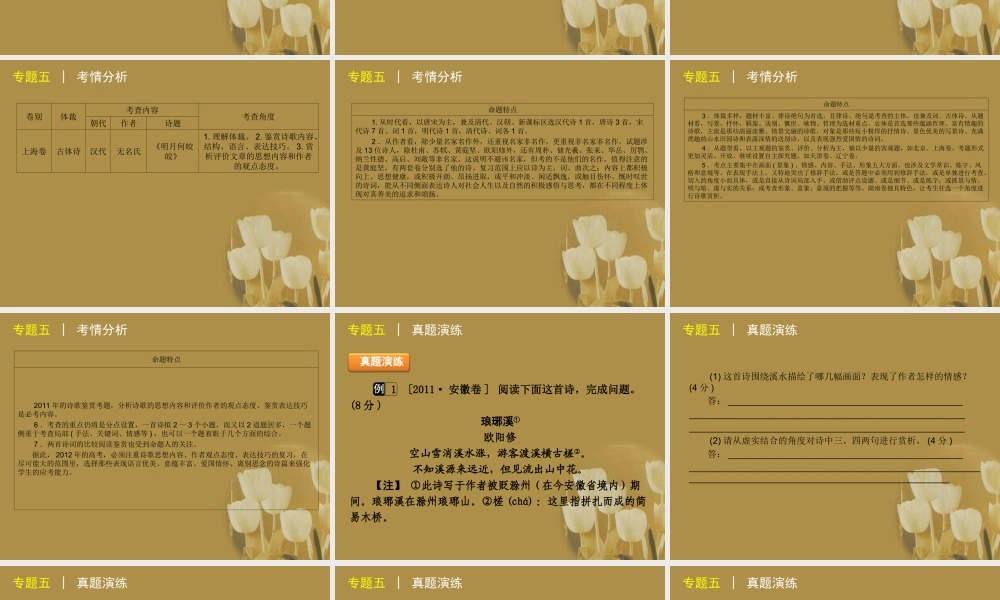 高三语文二轮专题复习 专题五 古代诗歌阅读精品课件 新课标版 课件