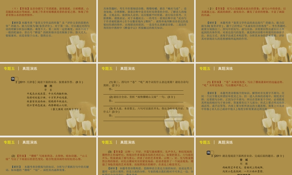 高三语文二轮专题复习 专题五 古代诗歌阅读精品课件 新课标版 课件