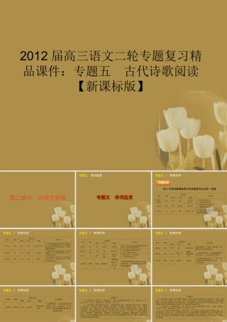 高三语文二轮专题复习 专题五 古代诗歌阅读精品课件 新课标版 课件