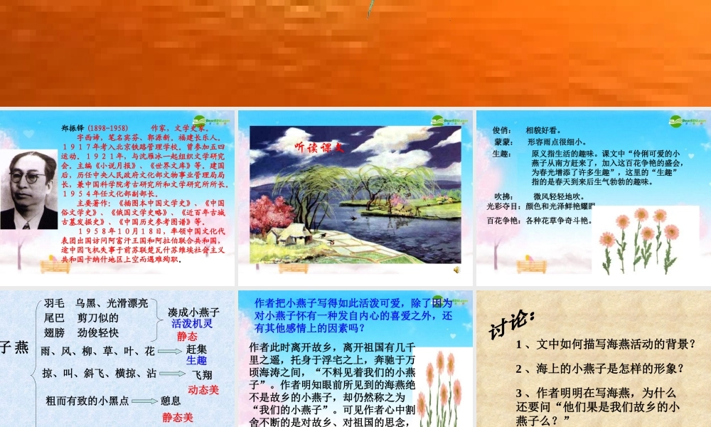 邓-海燕(郑) 课件