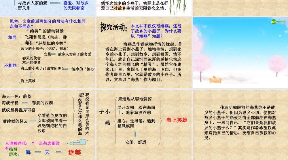 邓-海燕(郑) 课件