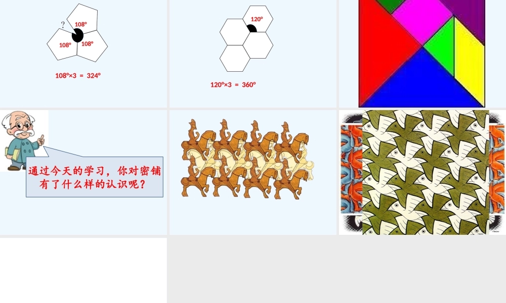 小学数学北师大2011课标版四年级《密铺》课件-(2)