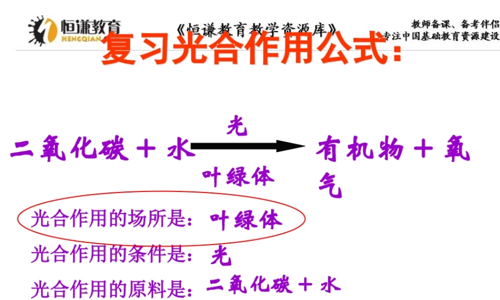 第三节植物光合作用的实质