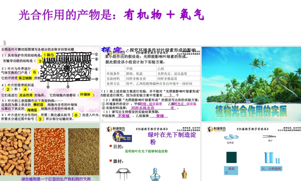 第三节植物光合作用的实质