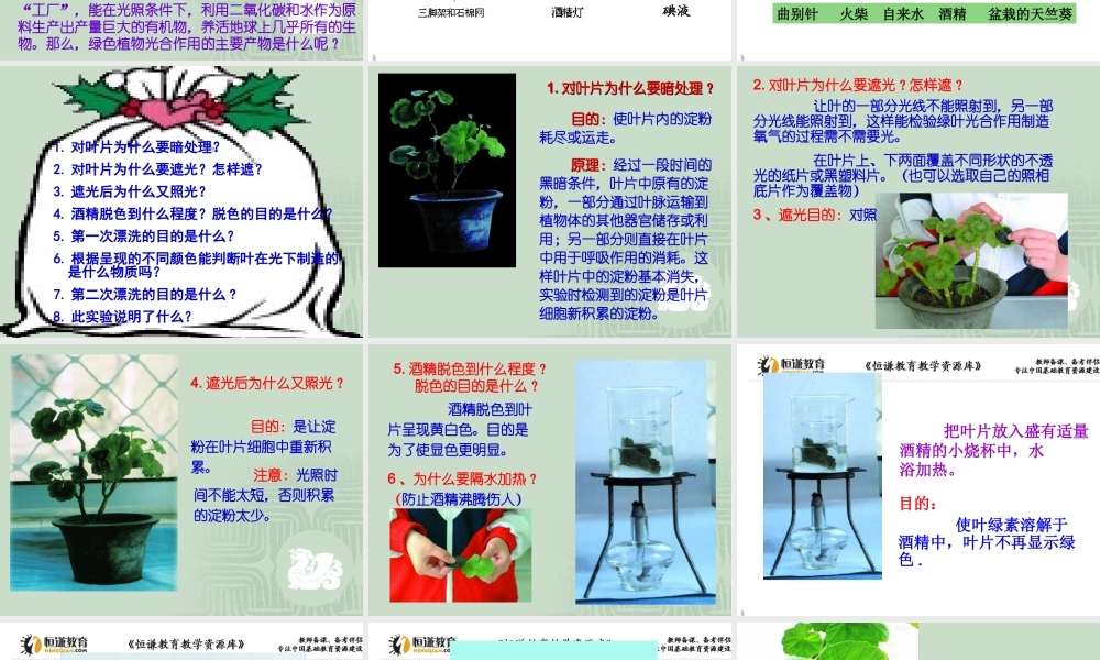 第三节植物光合作用的实质
