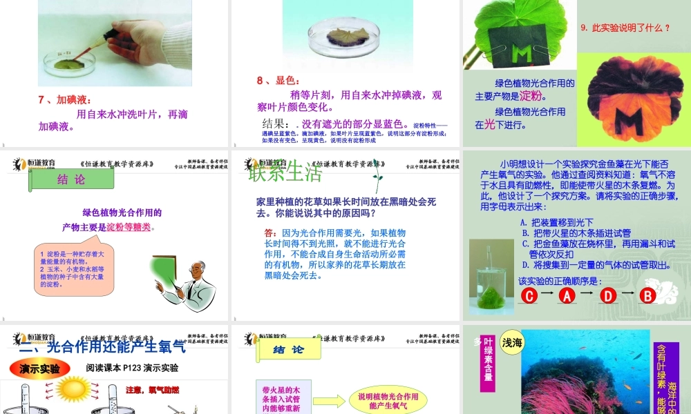 第三节植物光合作用的实质