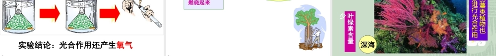第三节植物光合作用的实质