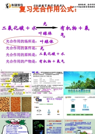 第三节植物光合作用的实质