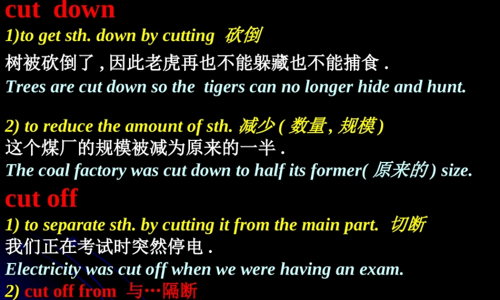 高一英语Unit10 The world around us language points[原创]人教版 课件