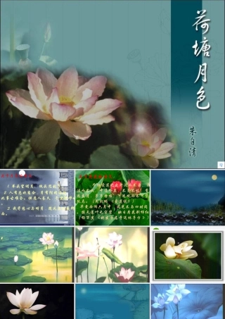 高中语文 第四专题之(荷塘月色)课件 苏教版必修2 课件