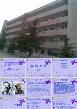 高中语文 老舍(我的母亲)2课件 新人教版必修2 课件