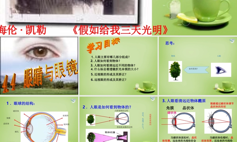 秋八年级物理上册 4.4 眼睛和眼镜课件 鲁教版 课件
