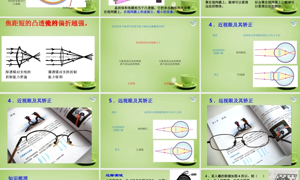 秋八年级物理上册 4.4 眼睛和眼镜课件 鲁教版 课件