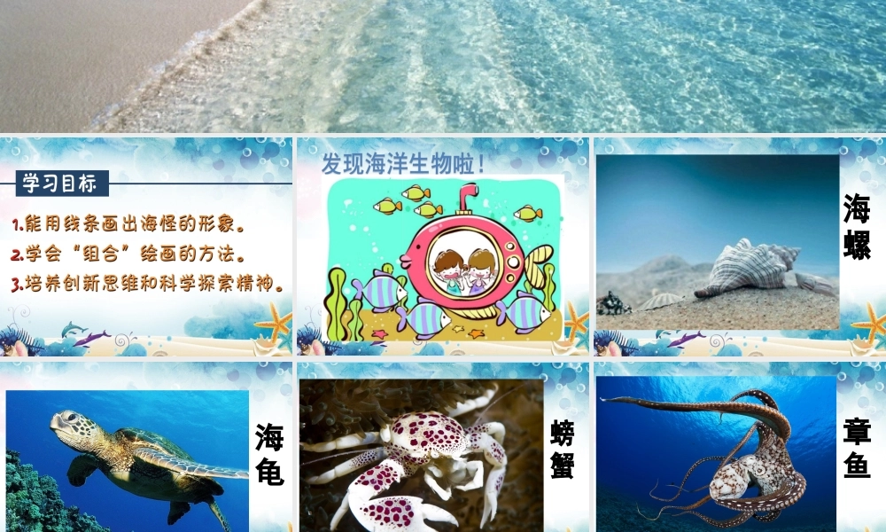 10.奇异的“海怪”