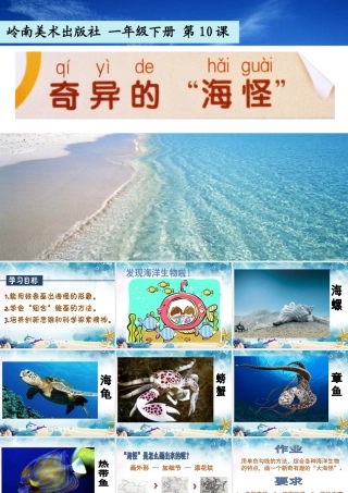 10.奇异的“海怪”