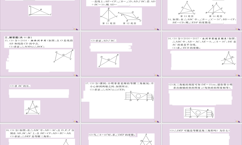 秋八年级数学上册 综合滚动练习 等腰三角形、线段垂直平分线与三角形全等习题讲评课件 (新版)湘教版 课件