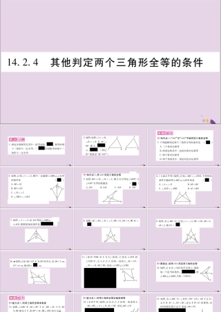 秋八年级数学上册 第14章 全等三角形 14.2 三角形全等的判定 14.2.4 其他判定两个三角形全等的条件习题课件 (新版)沪科版 课件