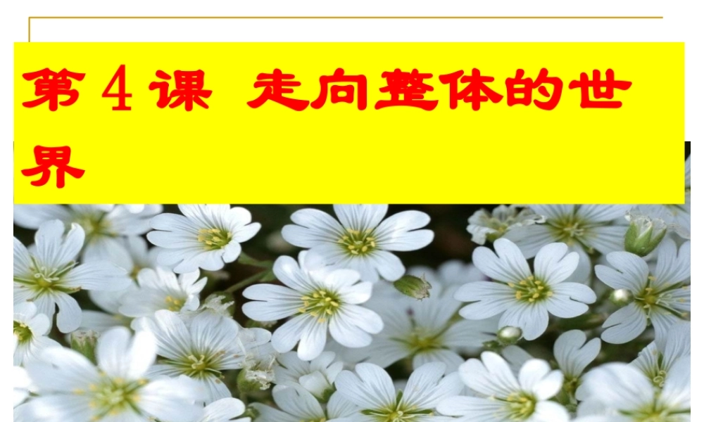 走向整体的世界