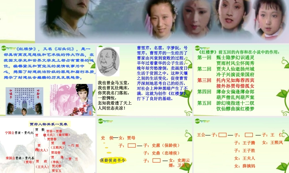 高中语文 林黛玉进贾府课件 苏教版必修2 课件