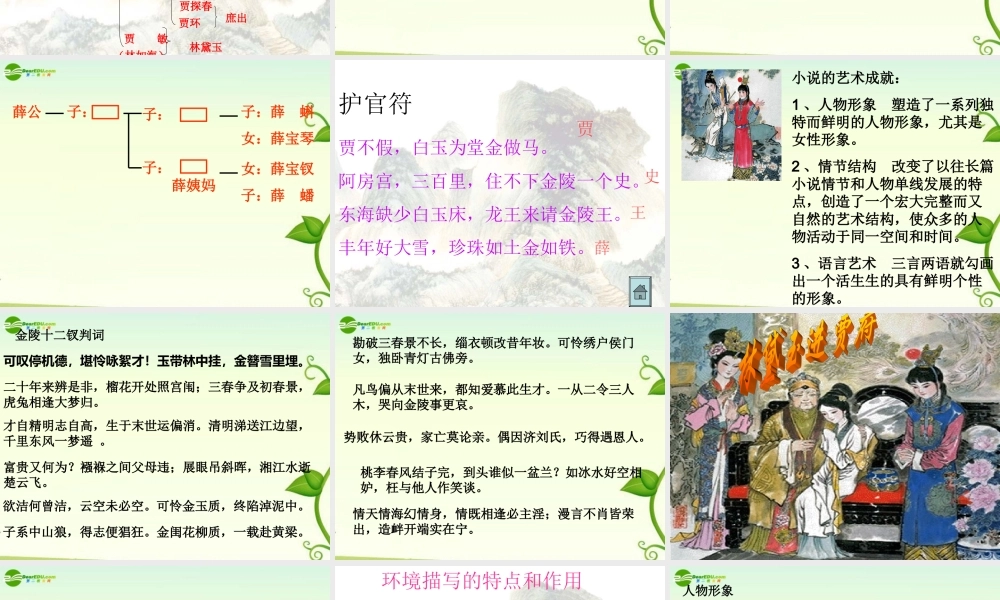 高中语文 林黛玉进贾府课件 苏教版必修2 课件