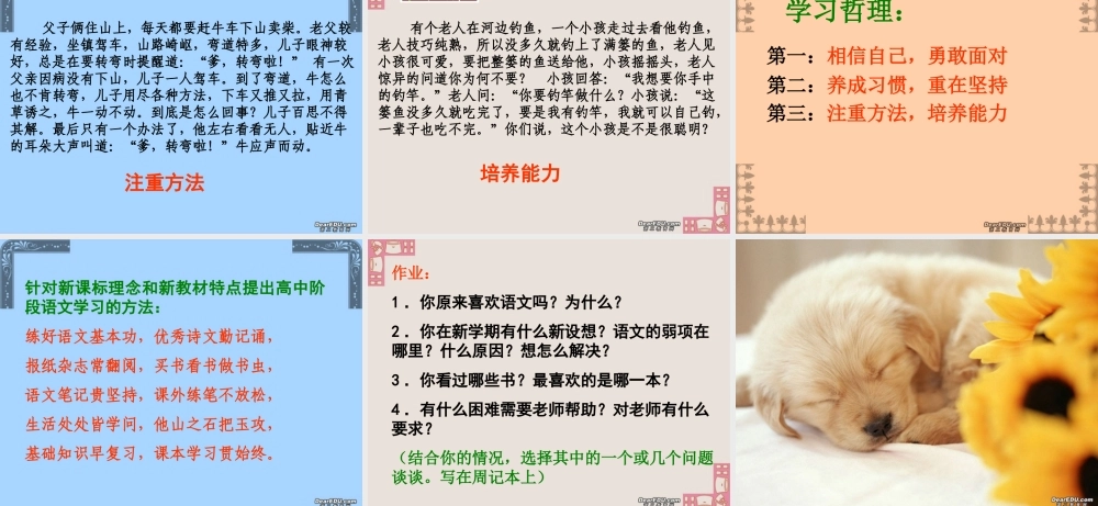 江苏省高一语文走进语文世界 课件