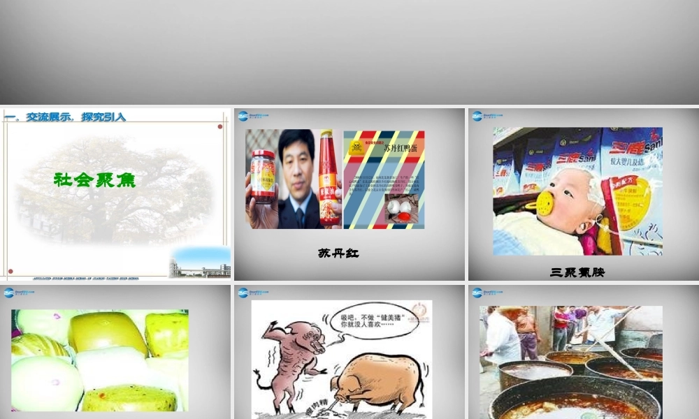 江苏省兴化市文昌实验学校八年级政治下册 16.1 消费者依法享有的合法权益课件 苏教版 课件