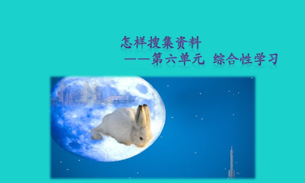 秋八年级语文上册 第六单元 综合性学习课件 新人教版 课件
