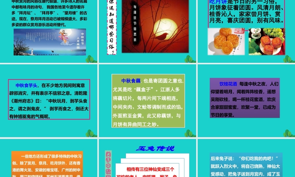 秋八年级语文上册 第六单元 综合性学习课件 新人教版 课件
