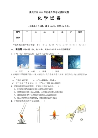 2011年黑龙江省中考化学模拟试题(一)