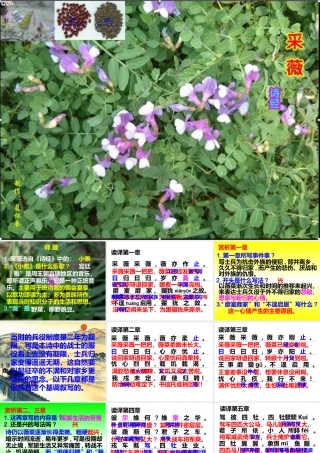 高一语文 采薇 课件