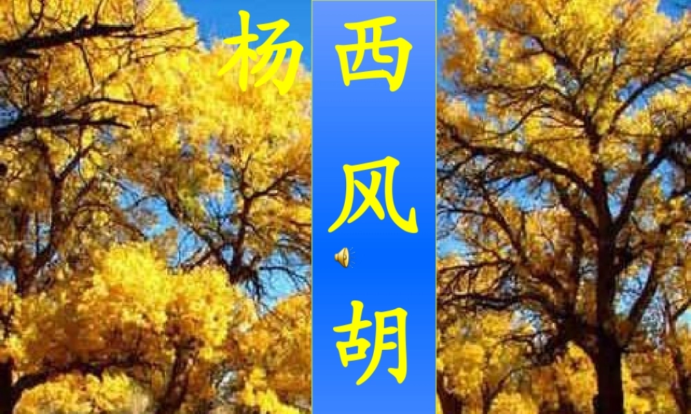 全宏艳西风胡杨课件