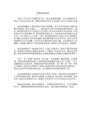 谈谈我的研修
