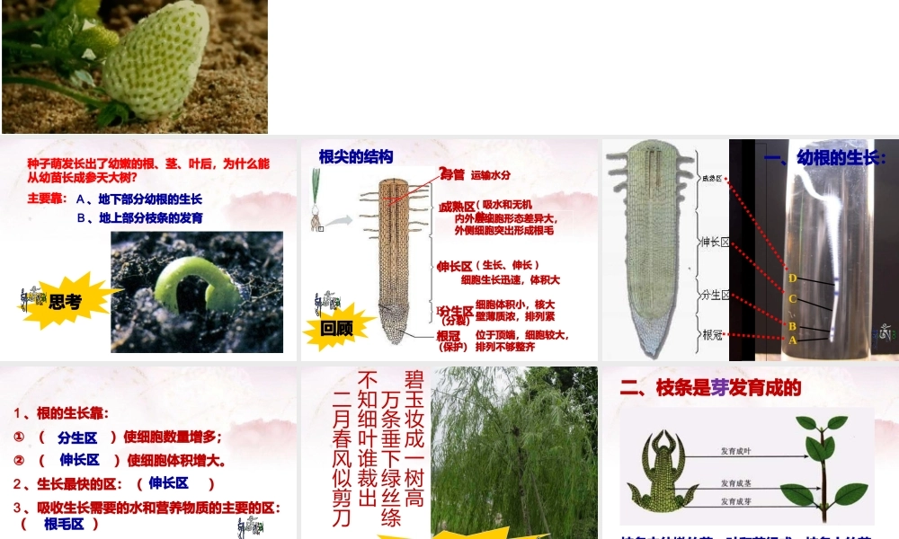 科学·技术·社会-“脱缰之马”——癌细胞