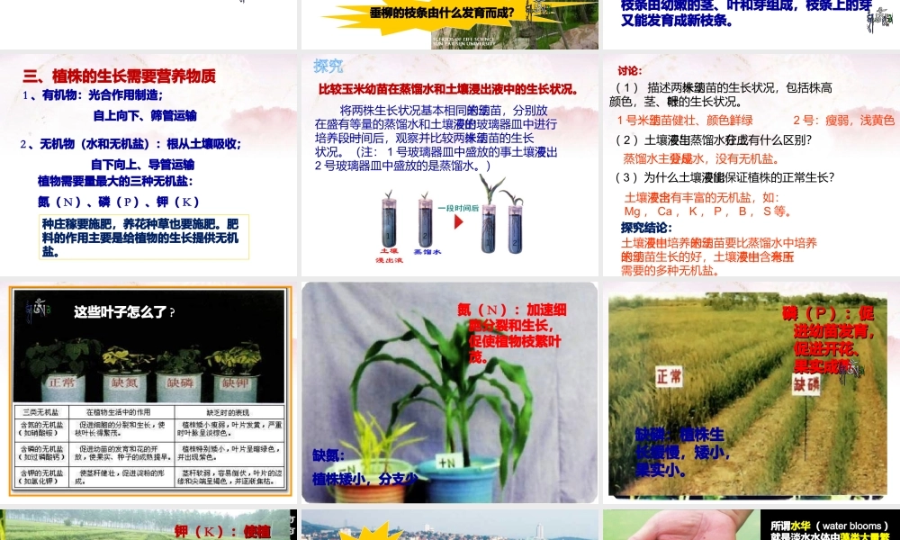 科学·技术·社会-“脱缰之马”——癌细胞