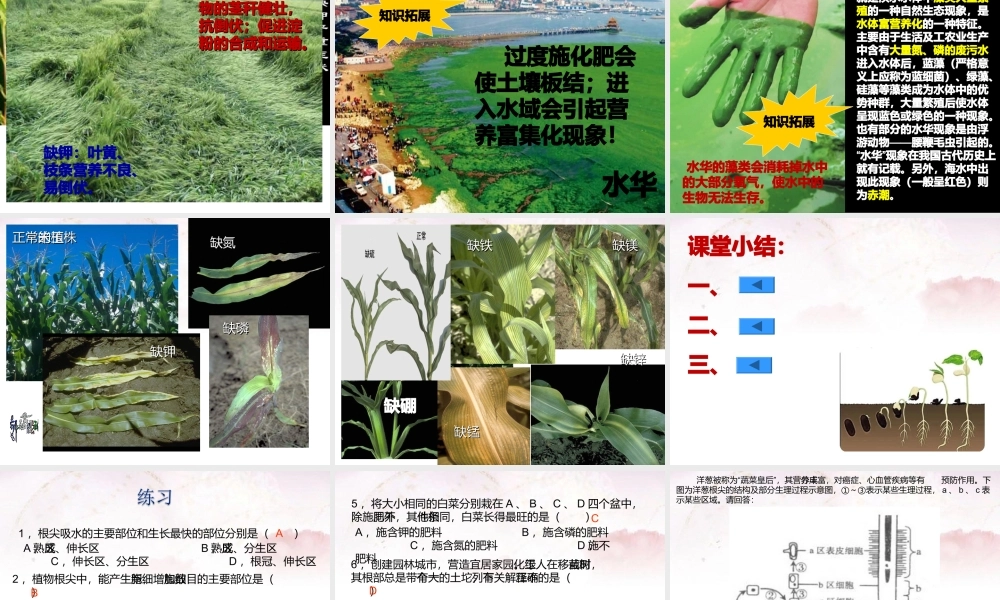 科学·技术·社会-“脱缰之马”——癌细胞