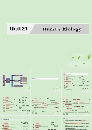 高考英语一轮复习 Unit21 Human Biology课件 北师大版选修7 课件