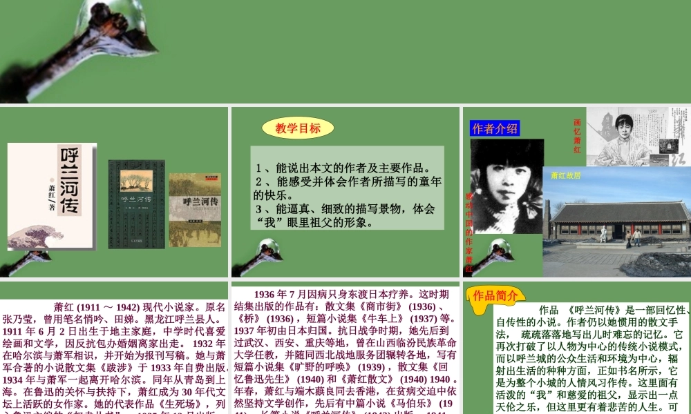 高中语文(呼兰河传)课件3 北京版选修2 课件