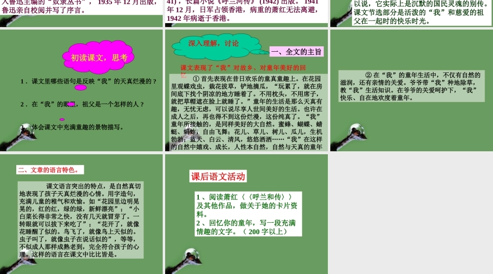高中语文(呼兰河传)课件3 北京版选修2 课件