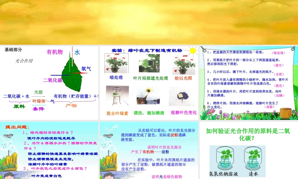 绿色植物如何获取能量
