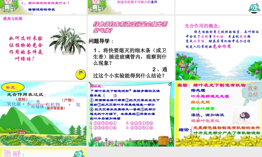 绿色植物如何获取能量