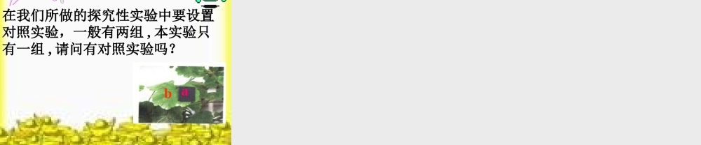 绿色植物如何获取能量