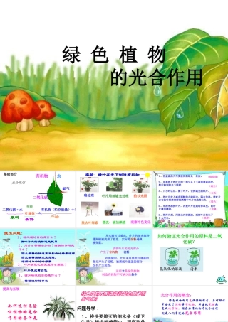 绿色植物如何获取能量