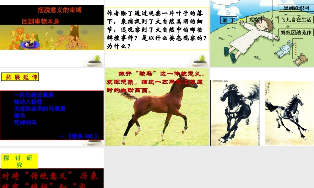 语文 4.2(云南冬天的树林)课件 苏教版选修(现代散文选读) 课件