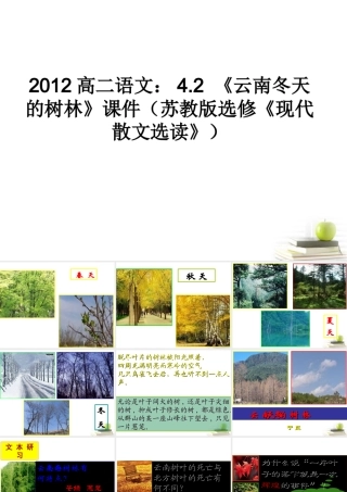 语文 4.2(云南冬天的树林)课件 苏教版选修(现代散文选读) 课件