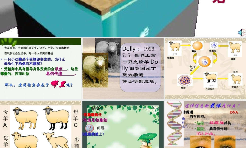 细胞核是遗传信息库七年级生物上册 课件