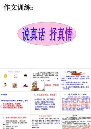 写作训练《说真话抒真情》