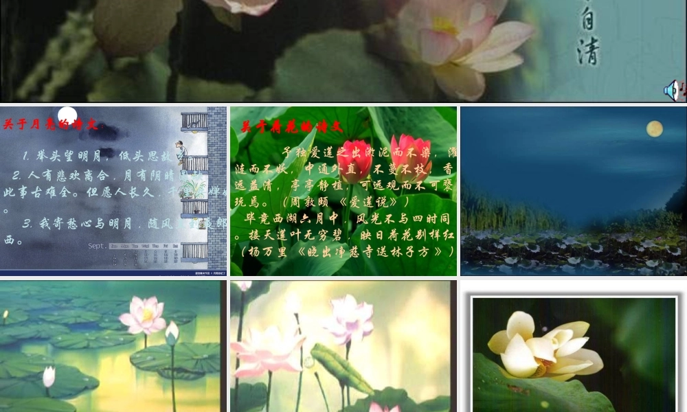 高中语文：36 荷塘月色 课件4鲁人版必修1 课件