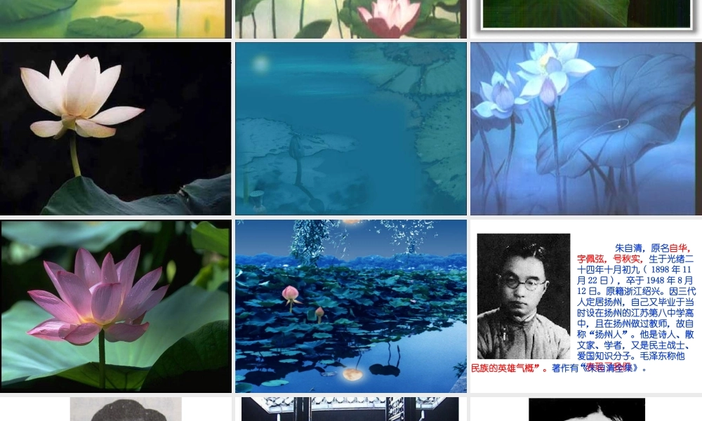 高中语文：36 荷塘月色 课件4鲁人版必修1 课件